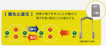 �_���ƊҌ�